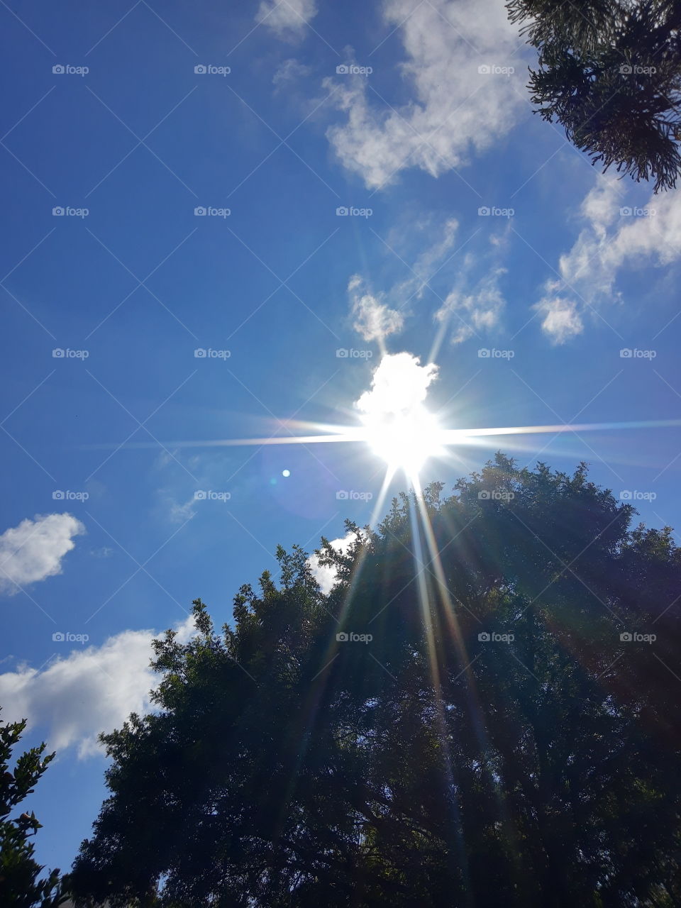 sun in the blue skies