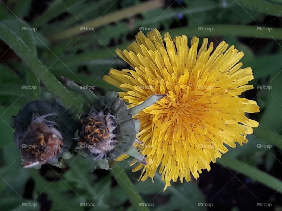 perfect imperfections