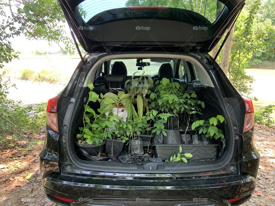 Editors ‘ choice : Photo of the week ,Ready to plant.