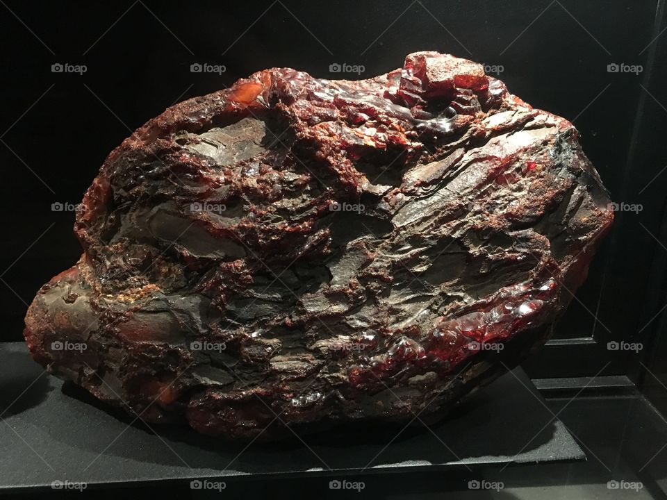 Malbork Castle, Poland