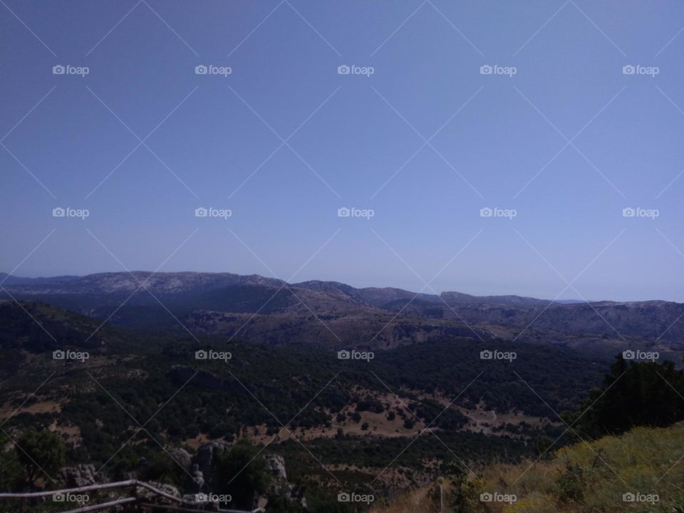 Editors' Choice: Photo of the Week