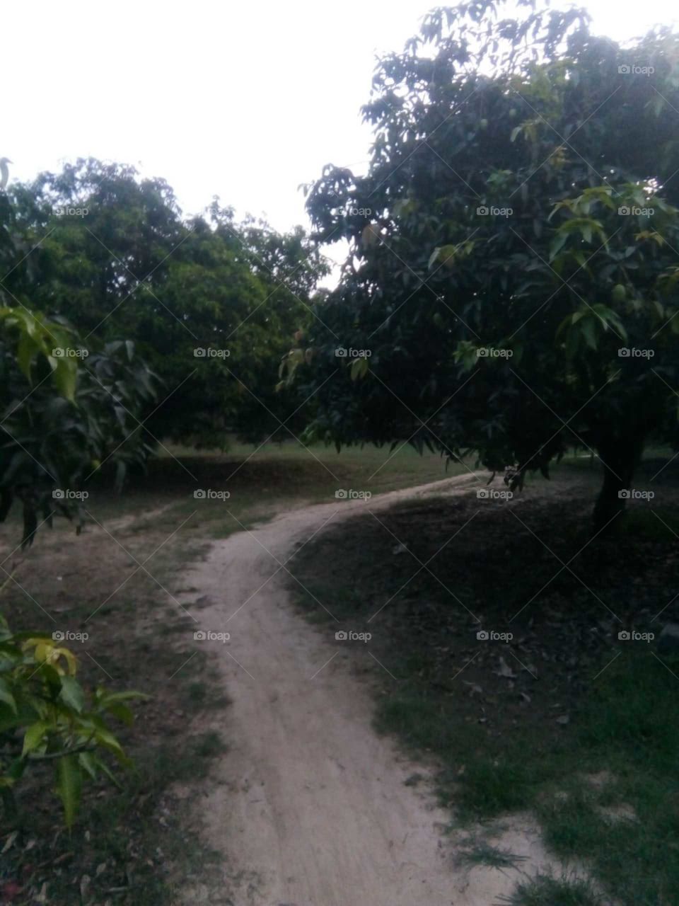 True Nature,No Filter
#truephotos