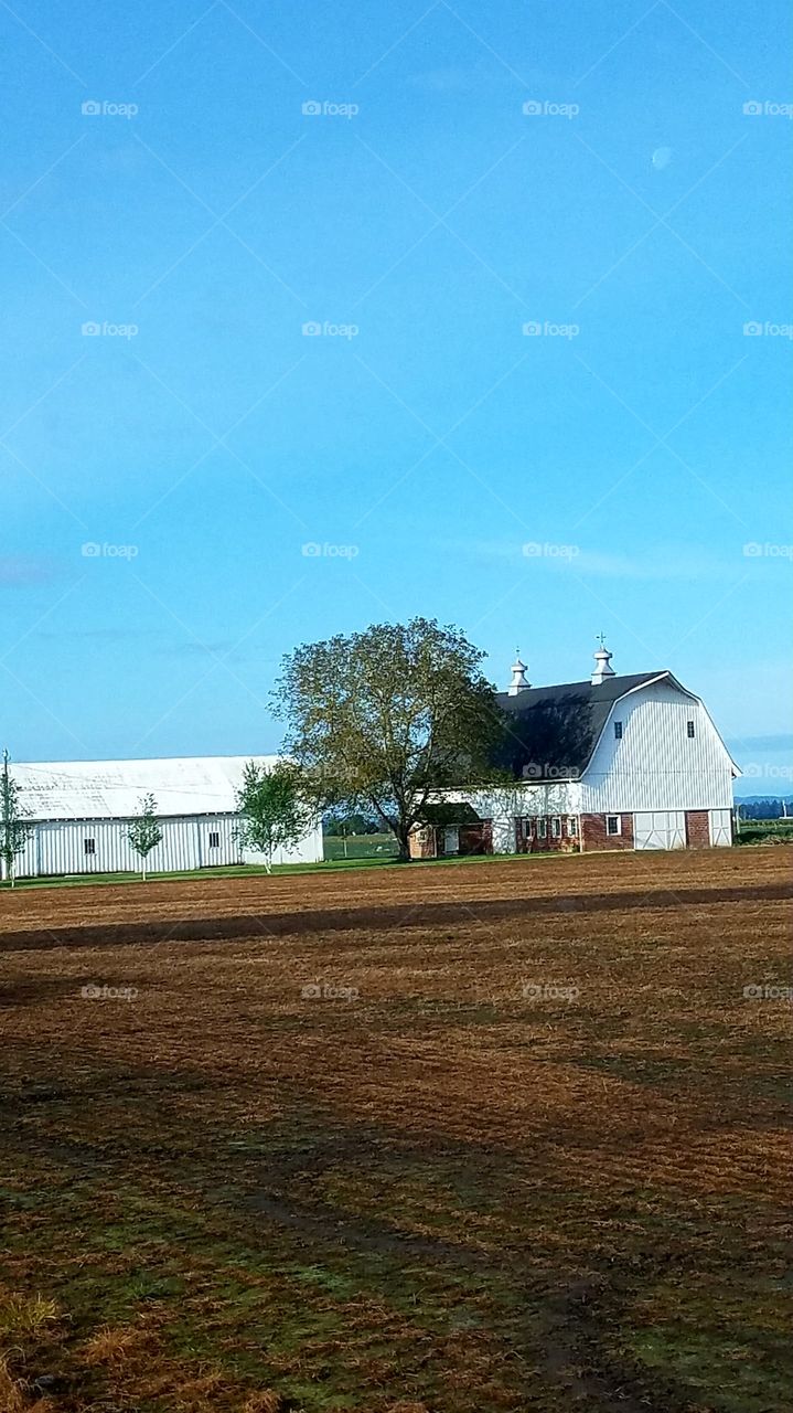 Big Barn on a farm in Oregon