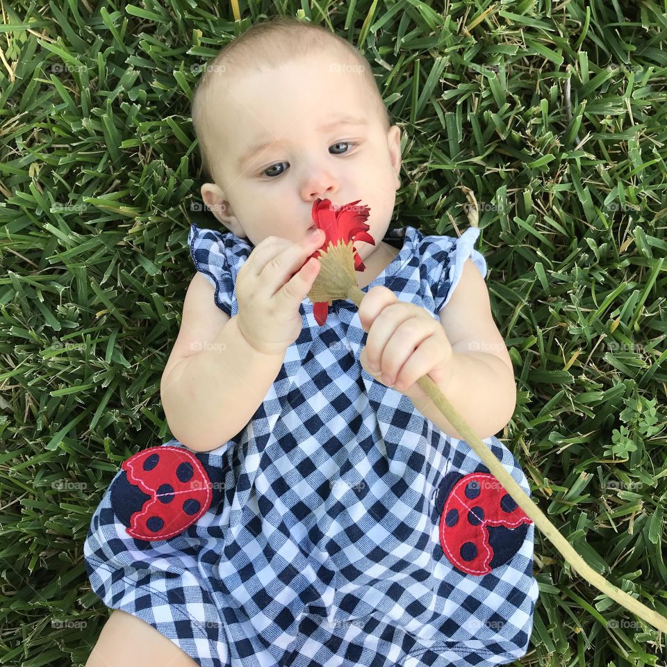 Alex discovering a pretty red flower.