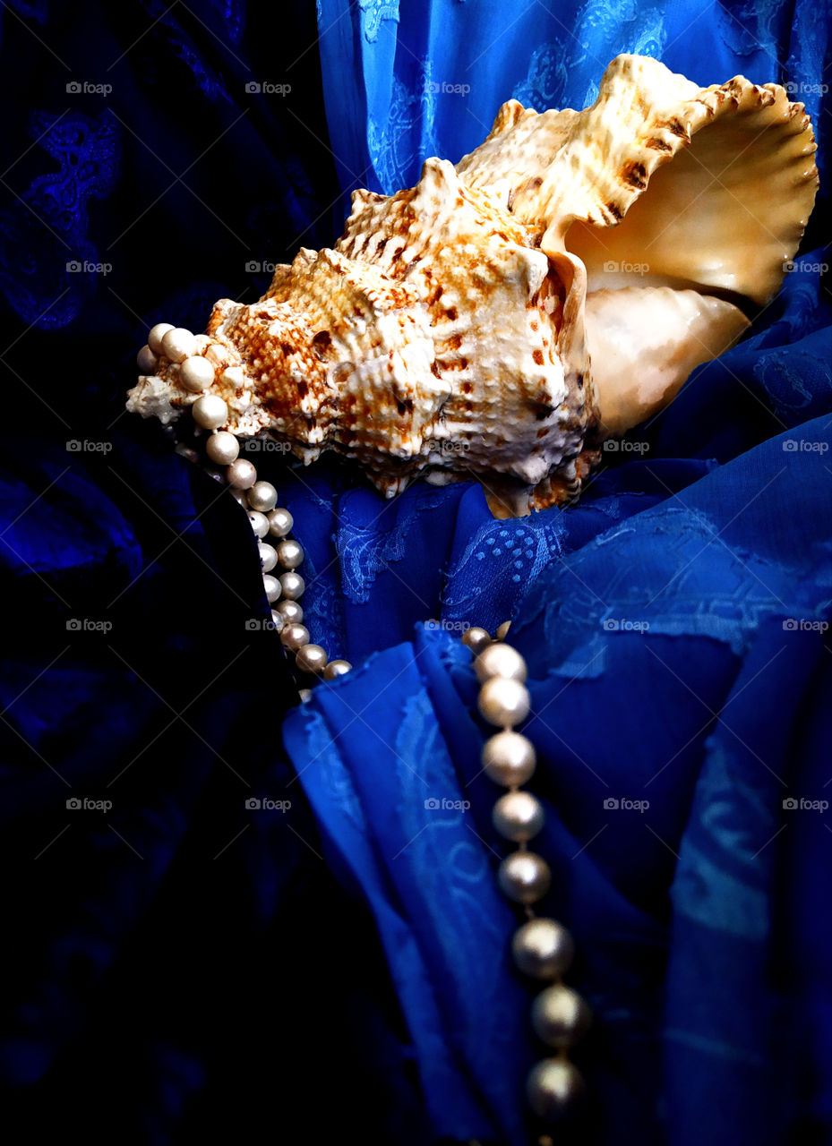 Seashell with a string of pearls on a blue background