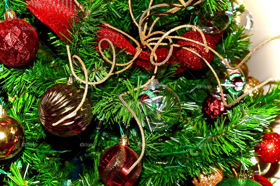 Celebrate the Season