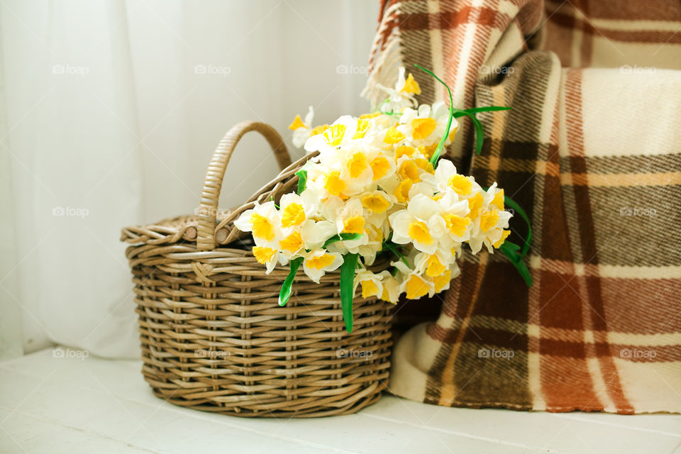 Close-up of spring flower in basket