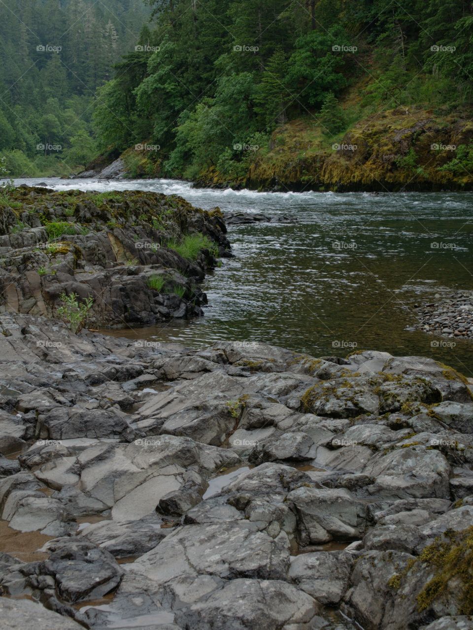 The rugged river banks made from textured hardened lava rock of the fast flowing Umpqua River in Southwestern Oregon. 