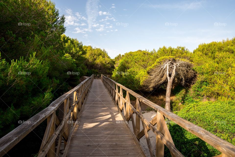 A boardwalk bridge through natural reserve in Can Picafort, Alcudia bay, Mallorca, Balearic Islands, Spain