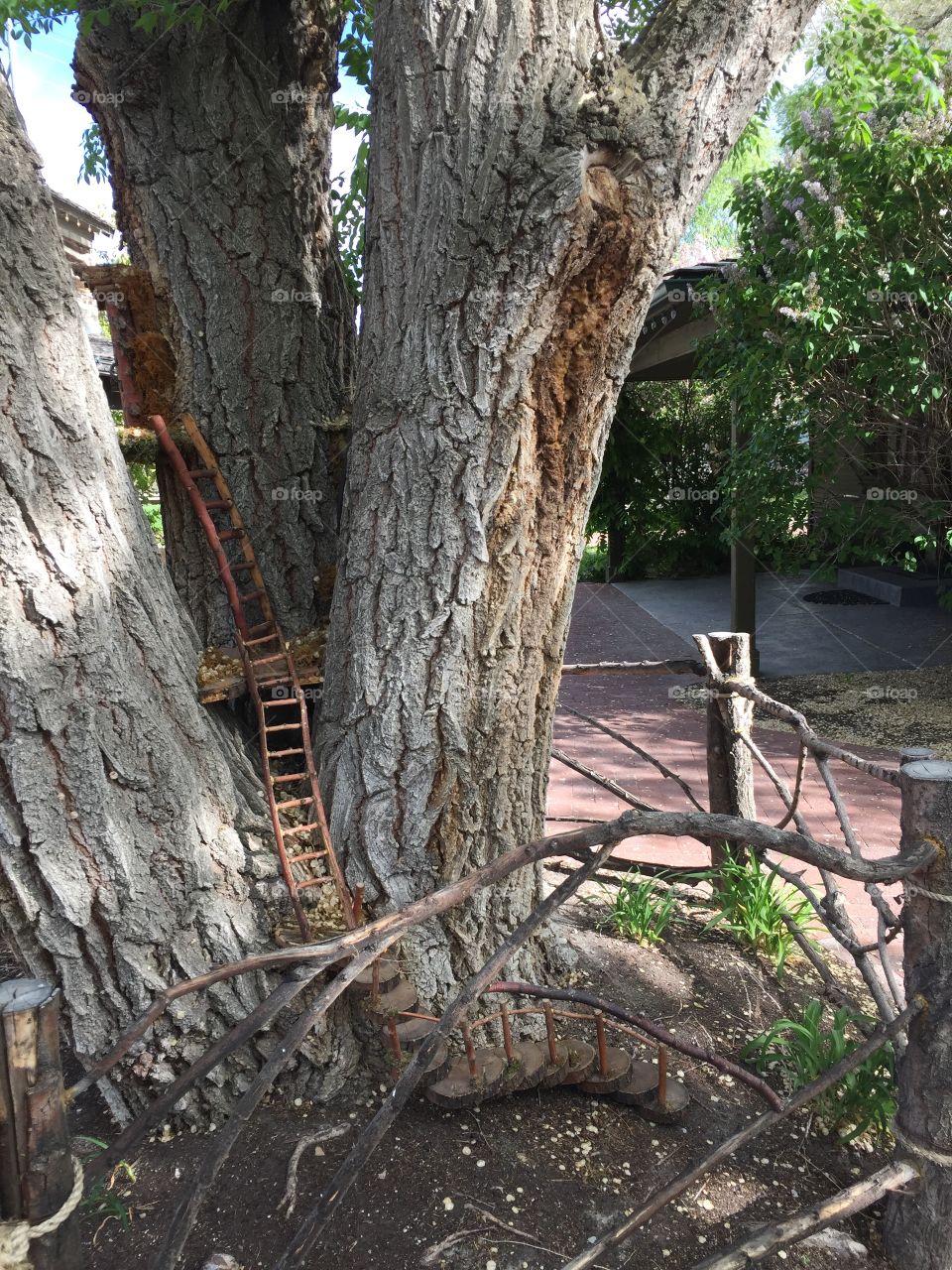 Fairy Quest. Fairy Homes & Gardens. Gardner Village, in West Jordan, Utah. @chelseamerkleyphotos - Copyright © CM Photography. May 2019. 