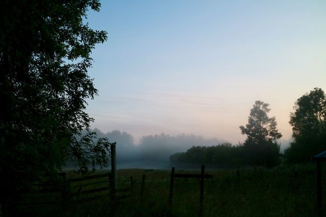 Foggy morning