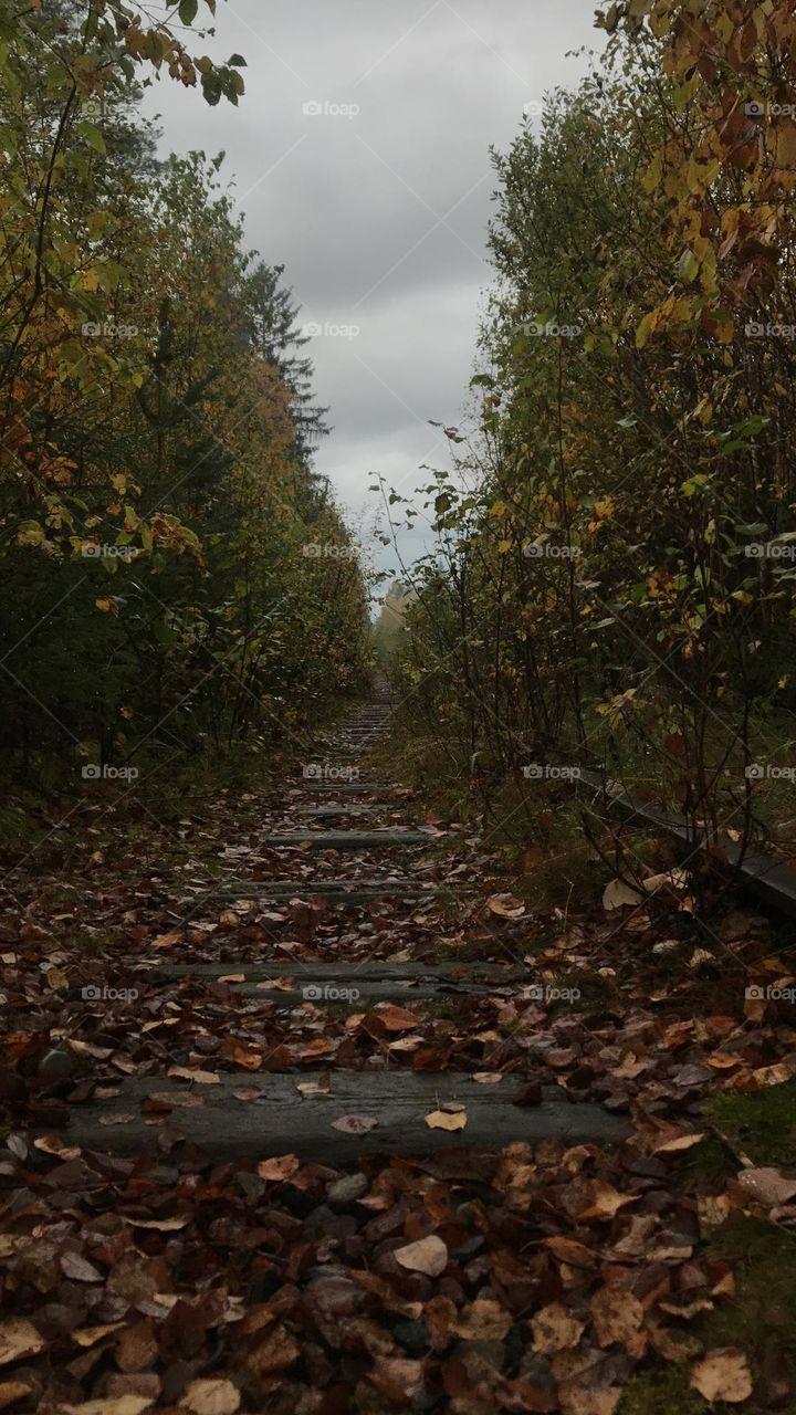 An abandoned railroad. 