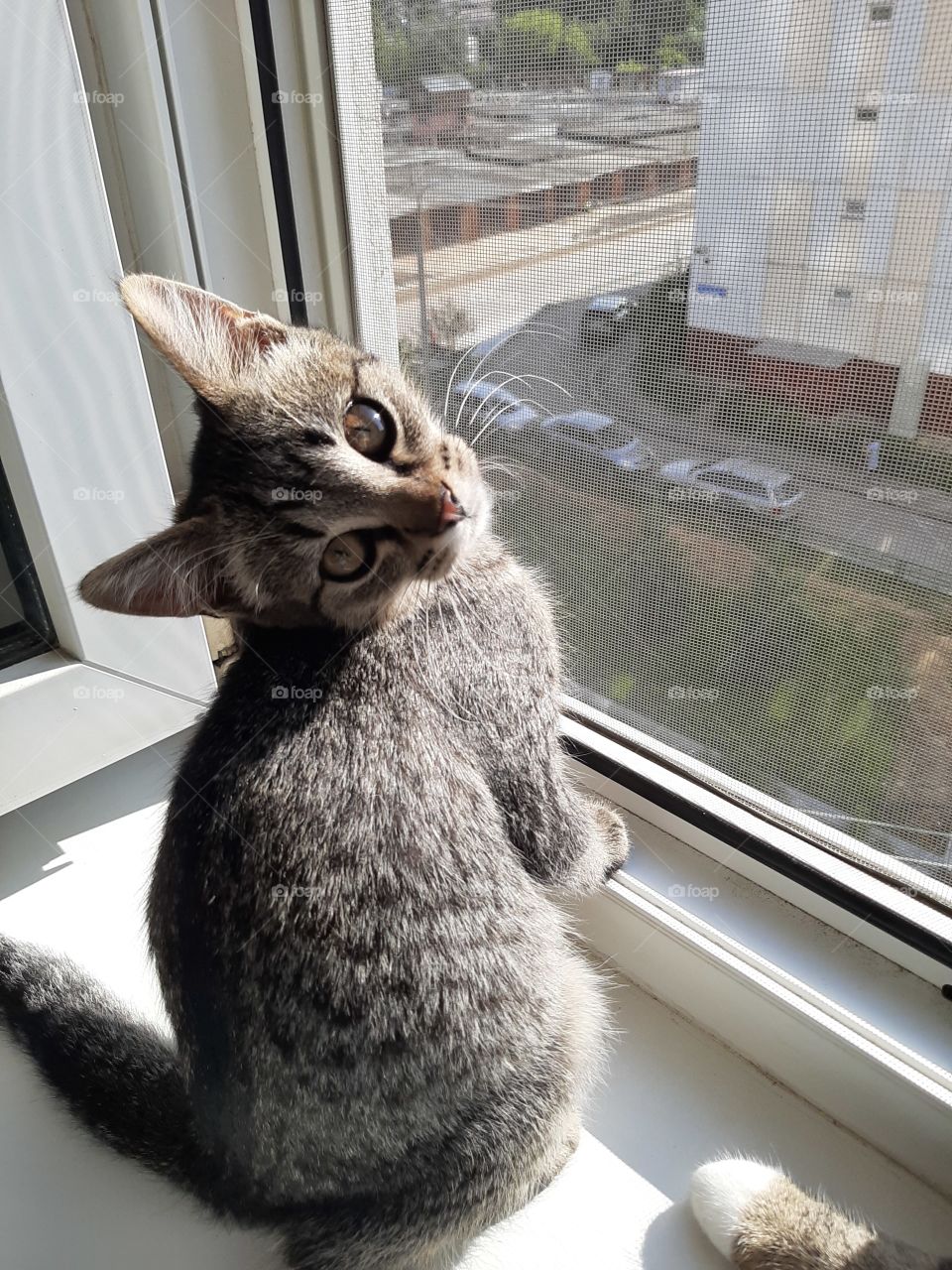 Ну   правда-   прелесть?