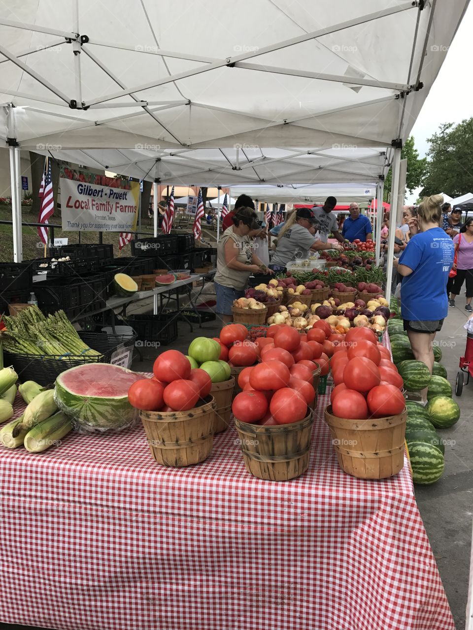 Fruits and Veggies 