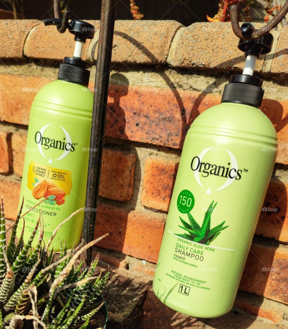 Organics Daily Care 2-in1, Shampoo and Conditioner