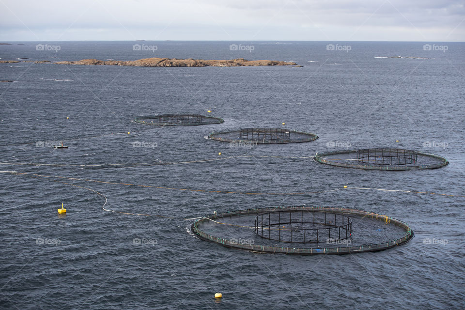 Fish Farming