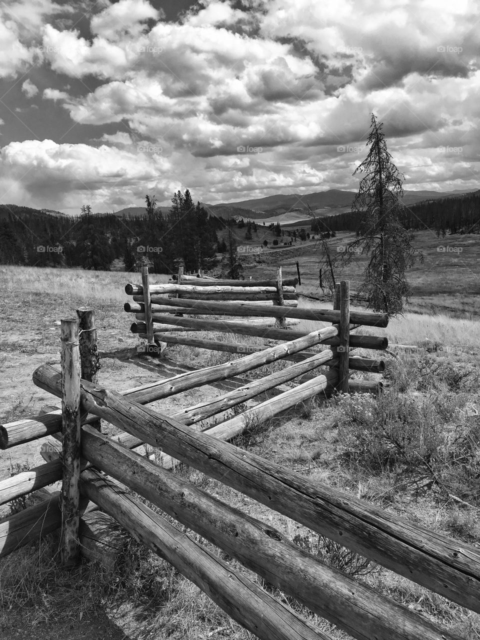 Mountain Wooden Fence in Monochrome 
