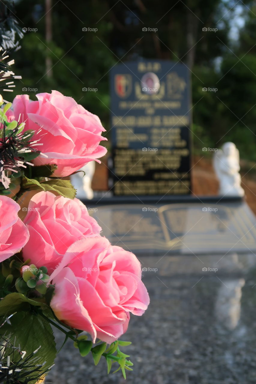 My father's rest place