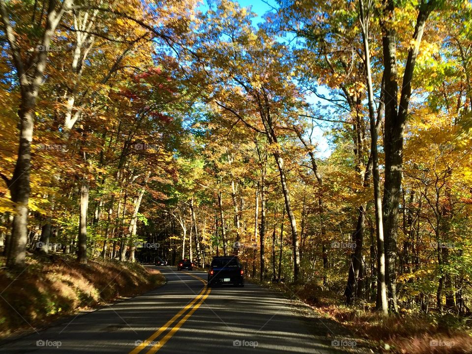 Drive through McHenry Maryland