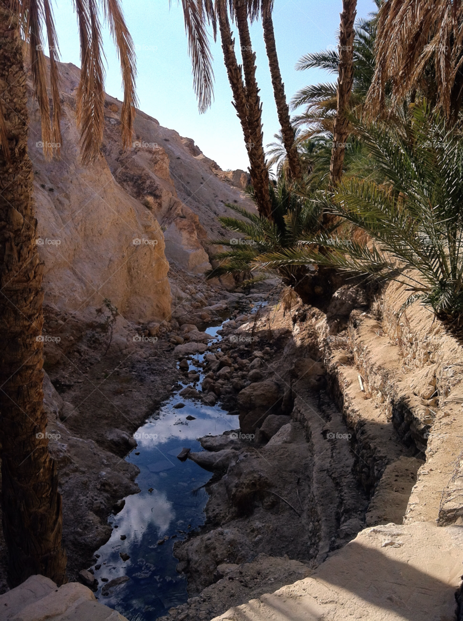 river valley tunisia by tazshah