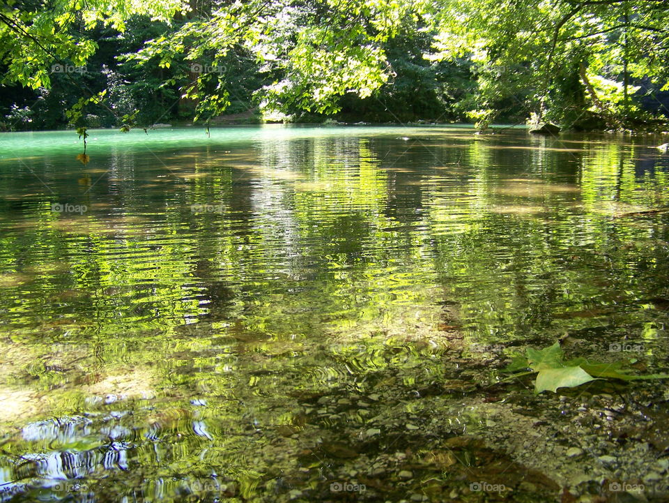 Water reflection summer