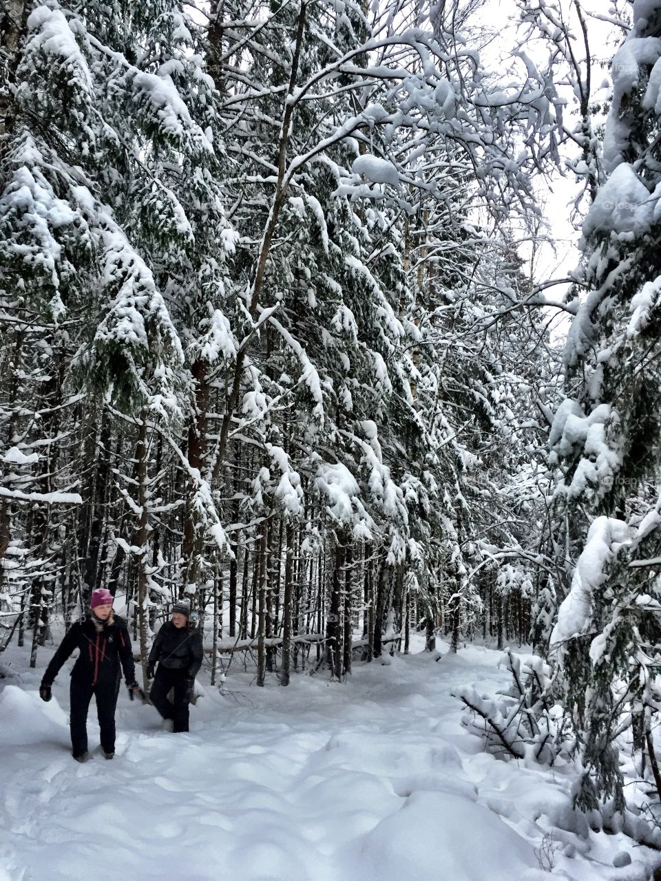 Hiking in deep snow 