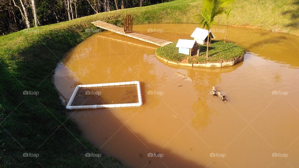 lagoa de peixes