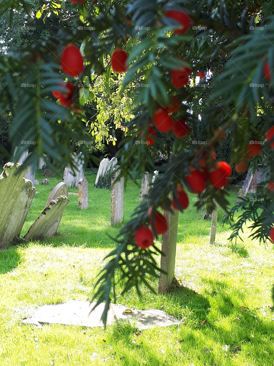 English Churchyard