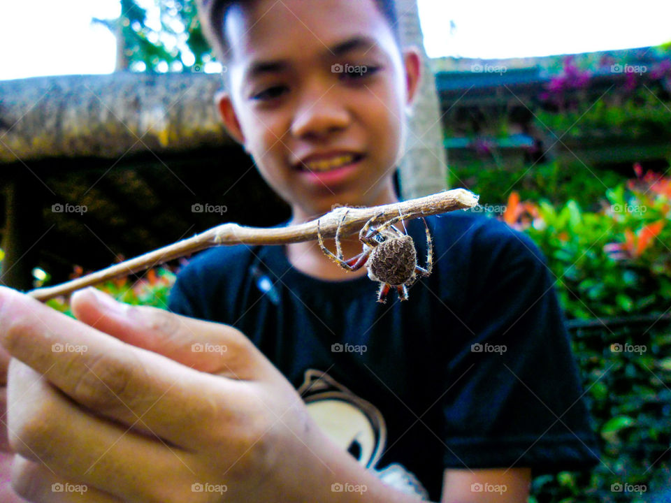 asian boy playing with spiders