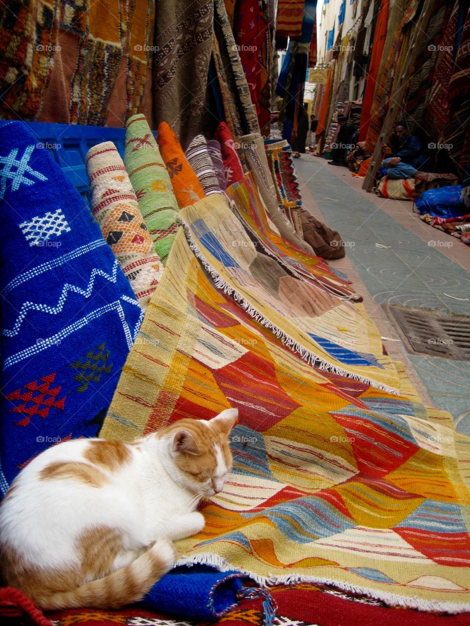 Saw this little one sleeping on the street on top of the famous Moroccan carpets