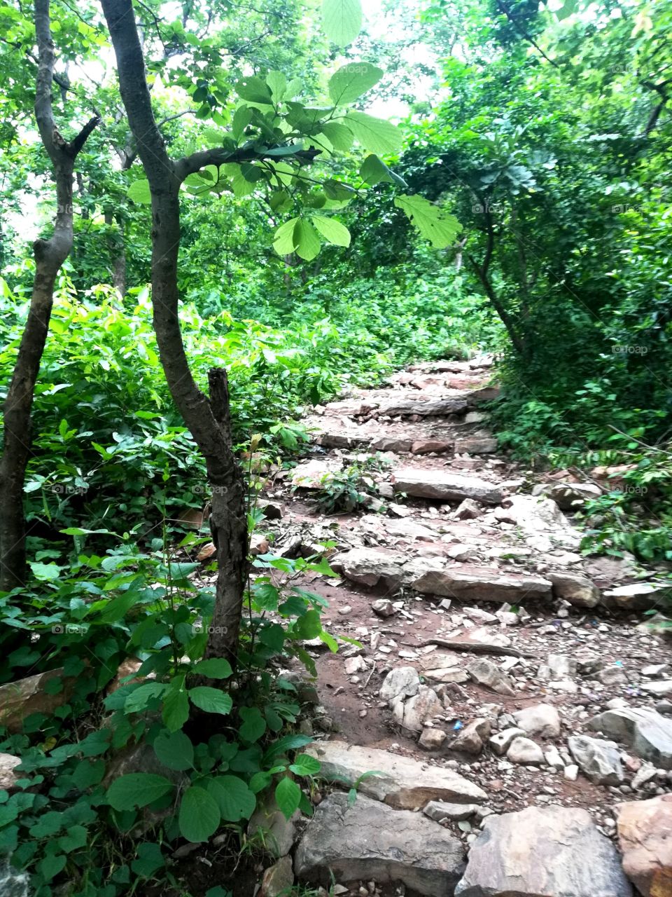 Hill path