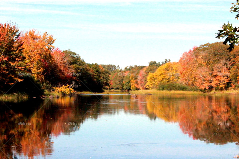 Fall colours in Nova Scotia on the banks of the LaHave River 