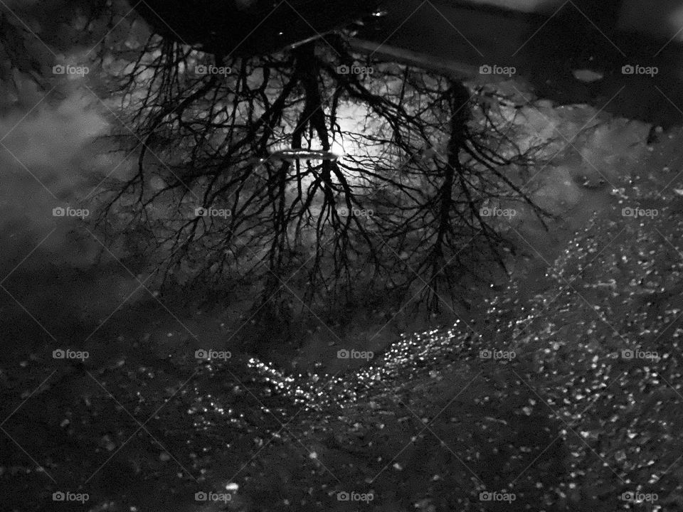 Moonlight in the puddle 