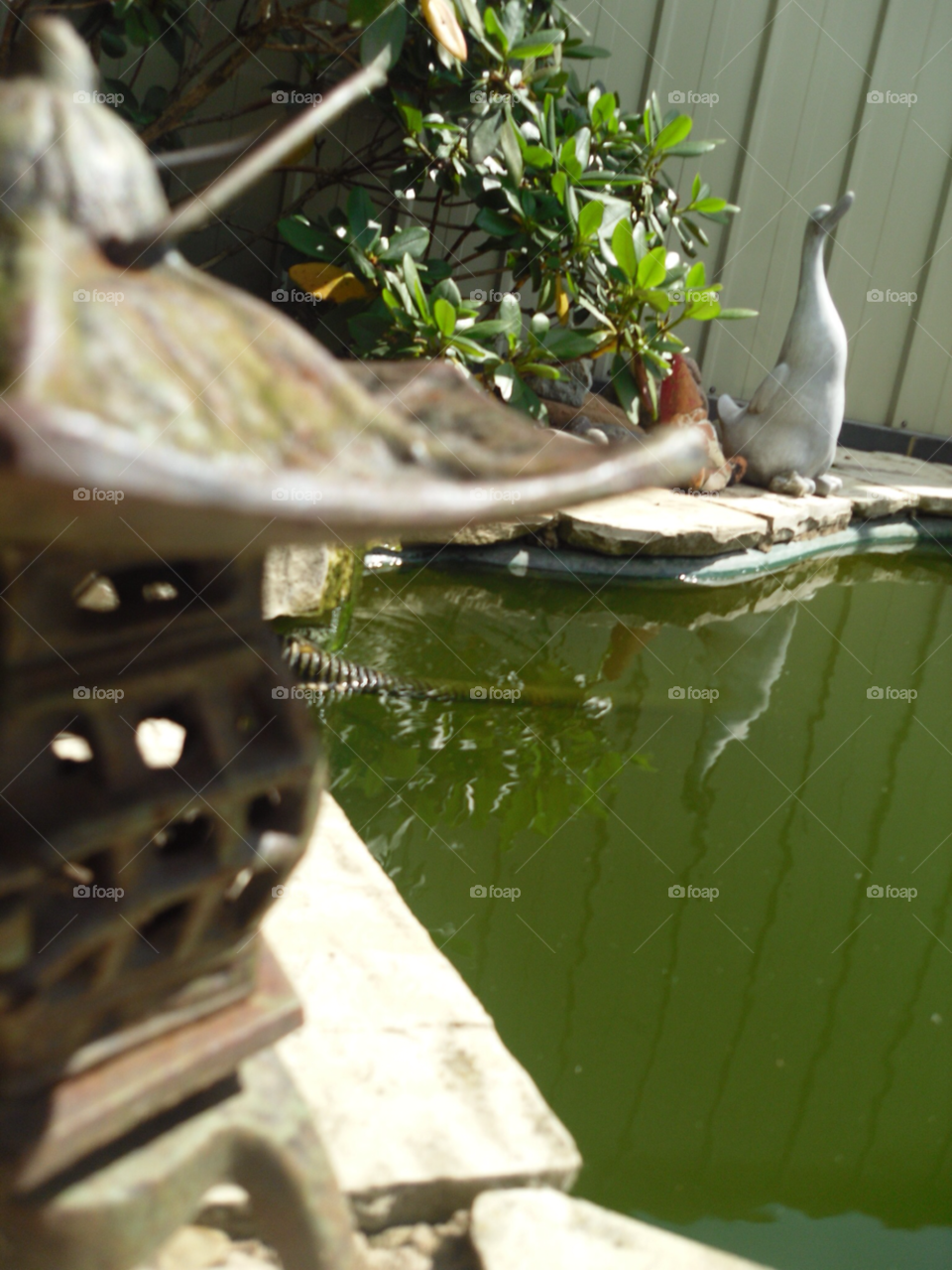 pond water duck lantern by laurar9