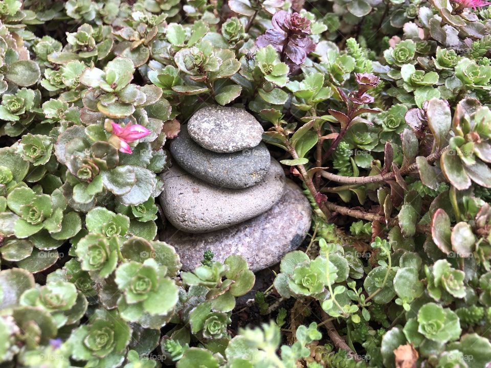 Small stone tower in a bed of succulents 