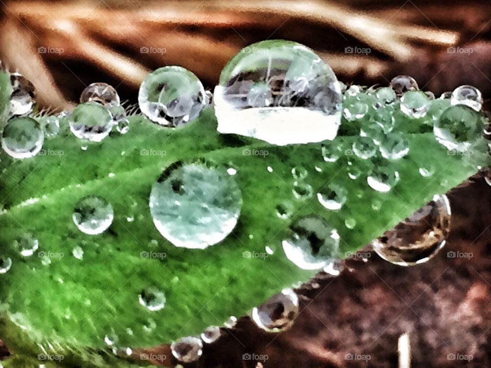 Raindrops 