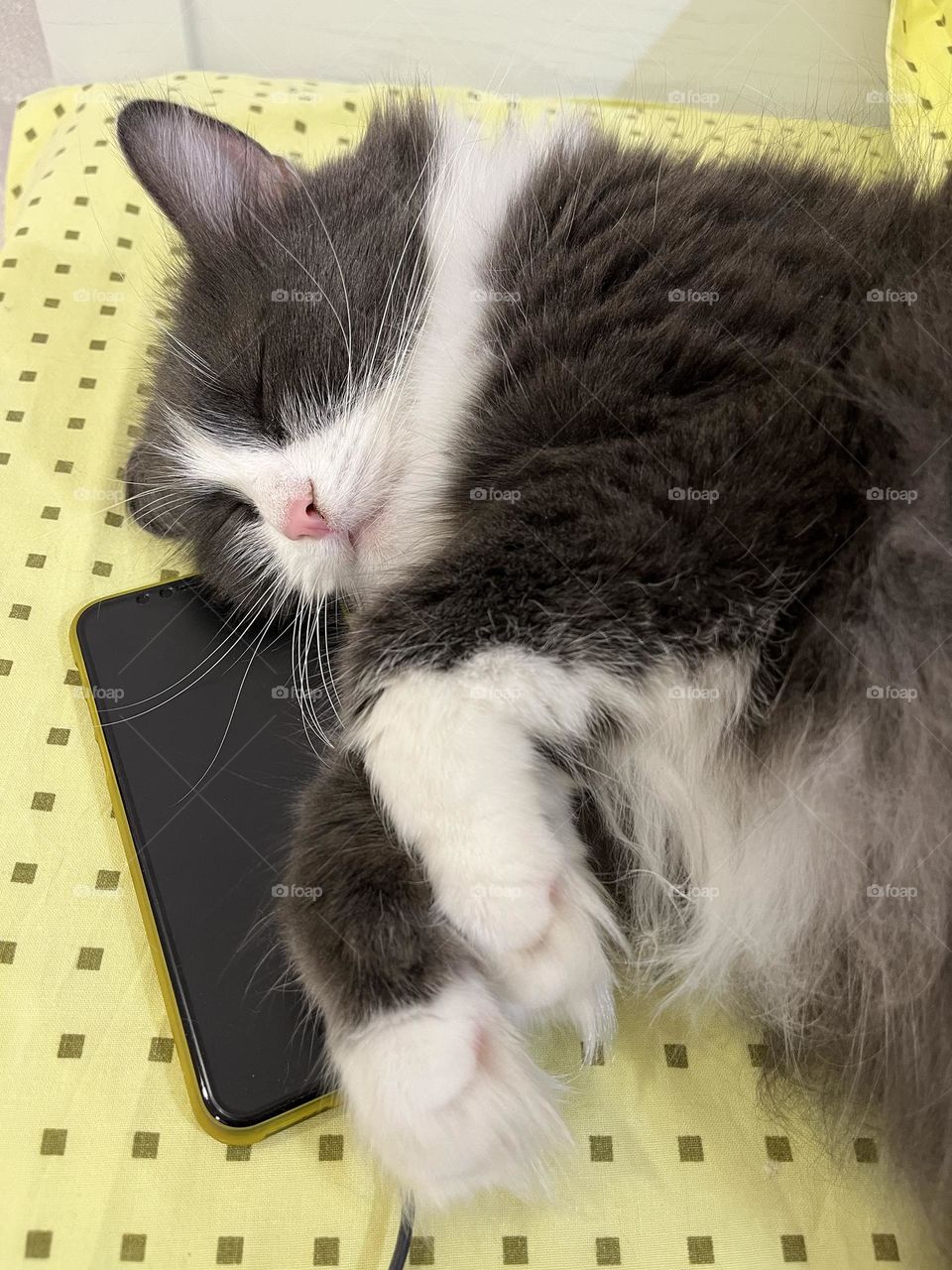 It’s time to sleep 