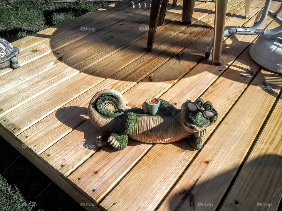 Relaxing Alligator