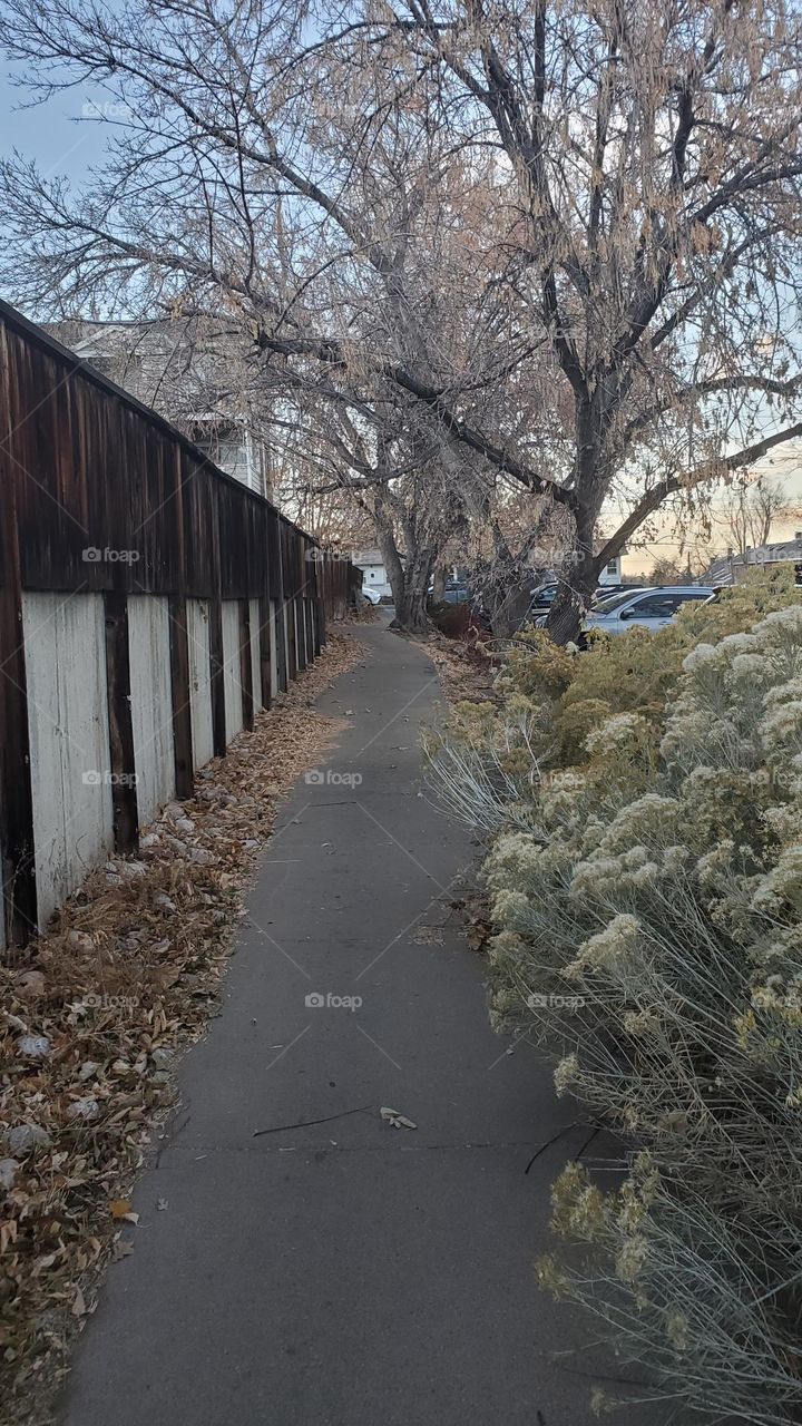 Well walked path in city