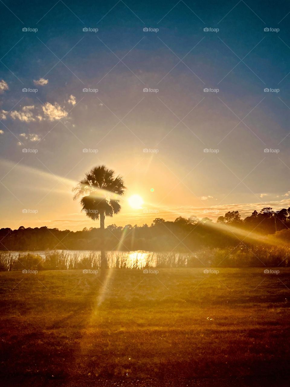 Early Morning Dawn With Sun Rays Spreading Around This Tropical Environment 