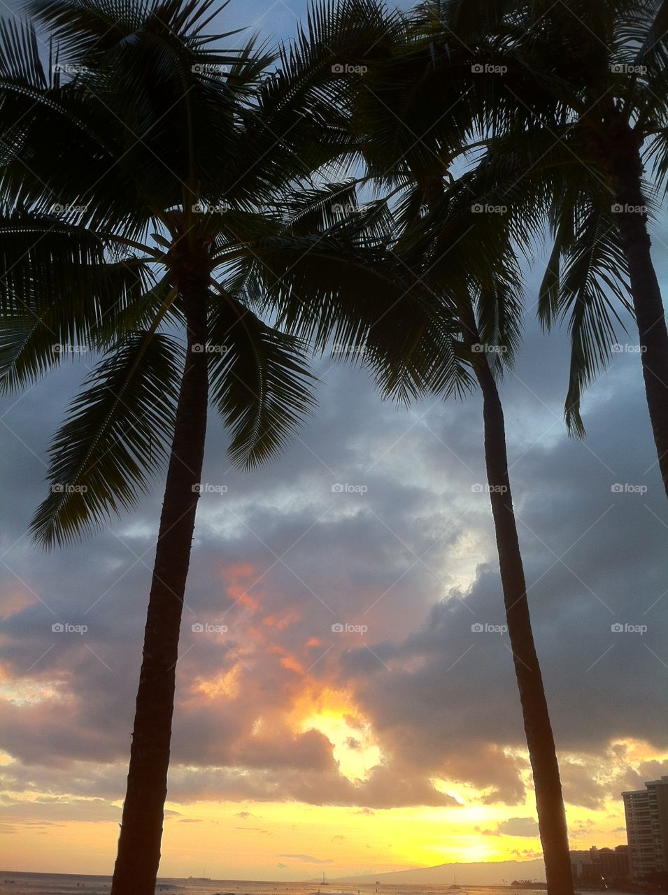 Sunset in Hawaii 