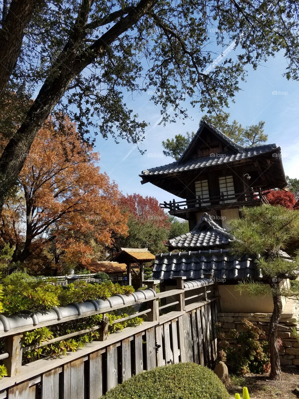 Japanese Gardens at Fort Worth botanical