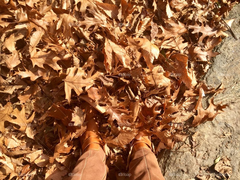 Brown leaves, brown boots