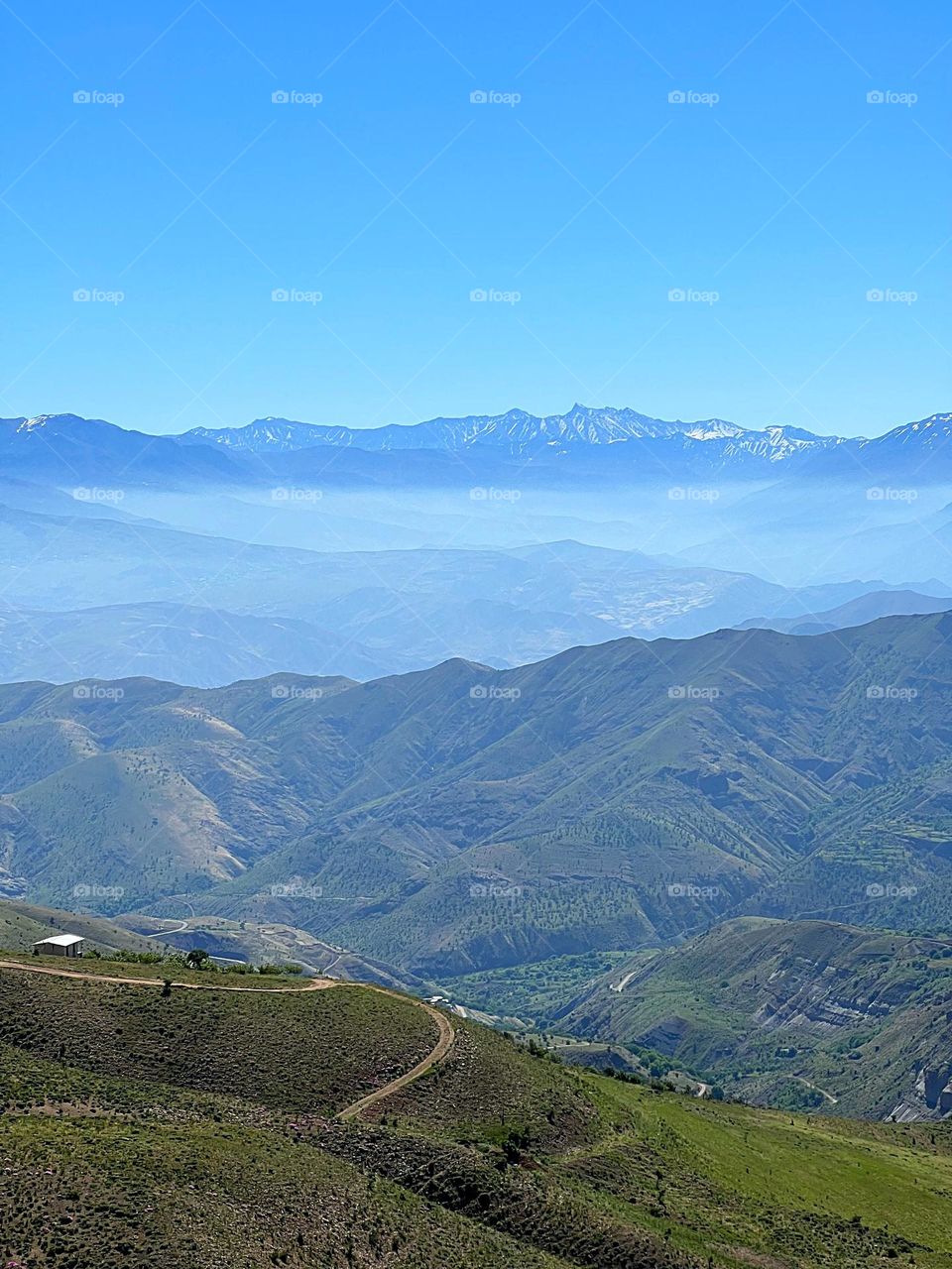 Time does not make you forget, time makes you grow and understand why it happened.

