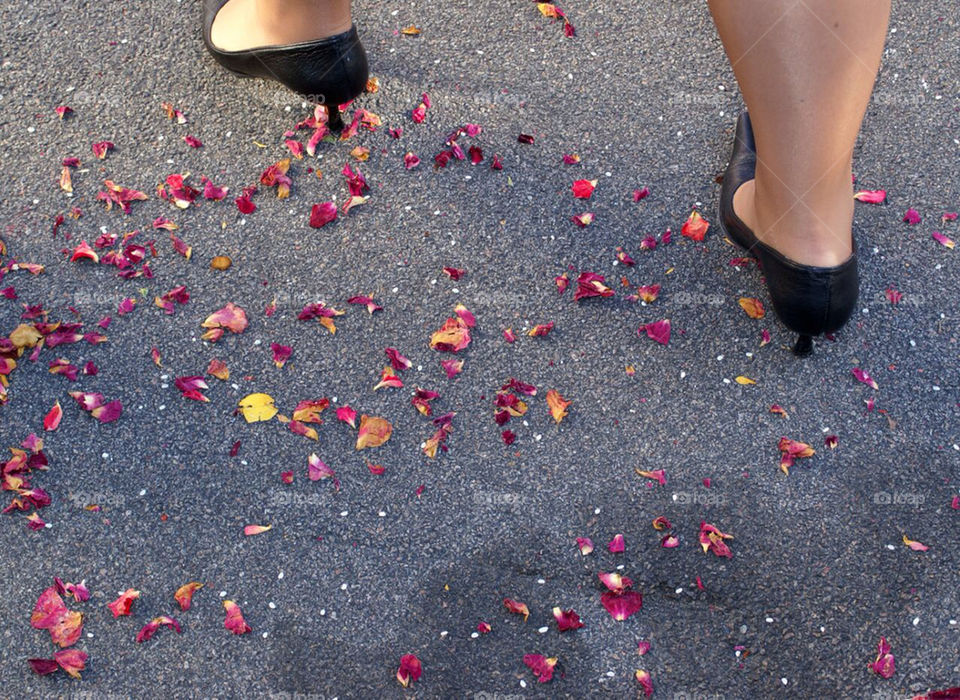 Rose petals at wedding