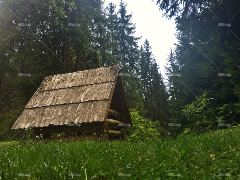 Cabin in wild
