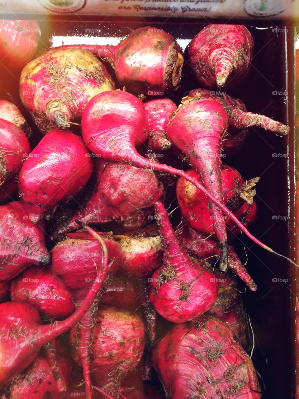 Spring Beets