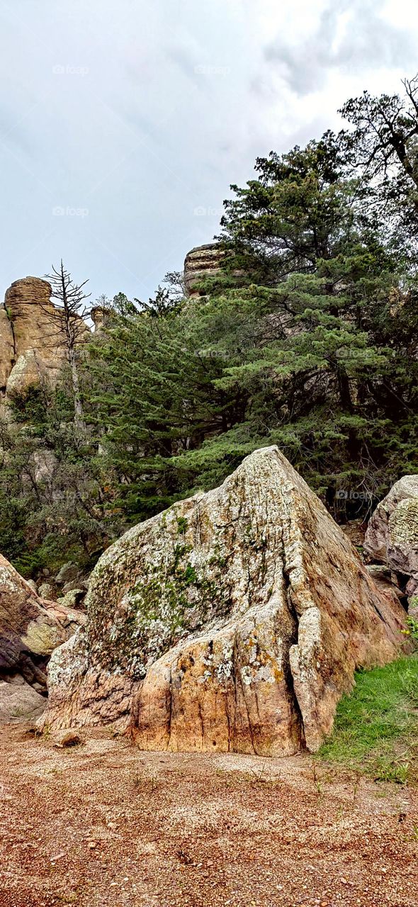 Roca de montaña