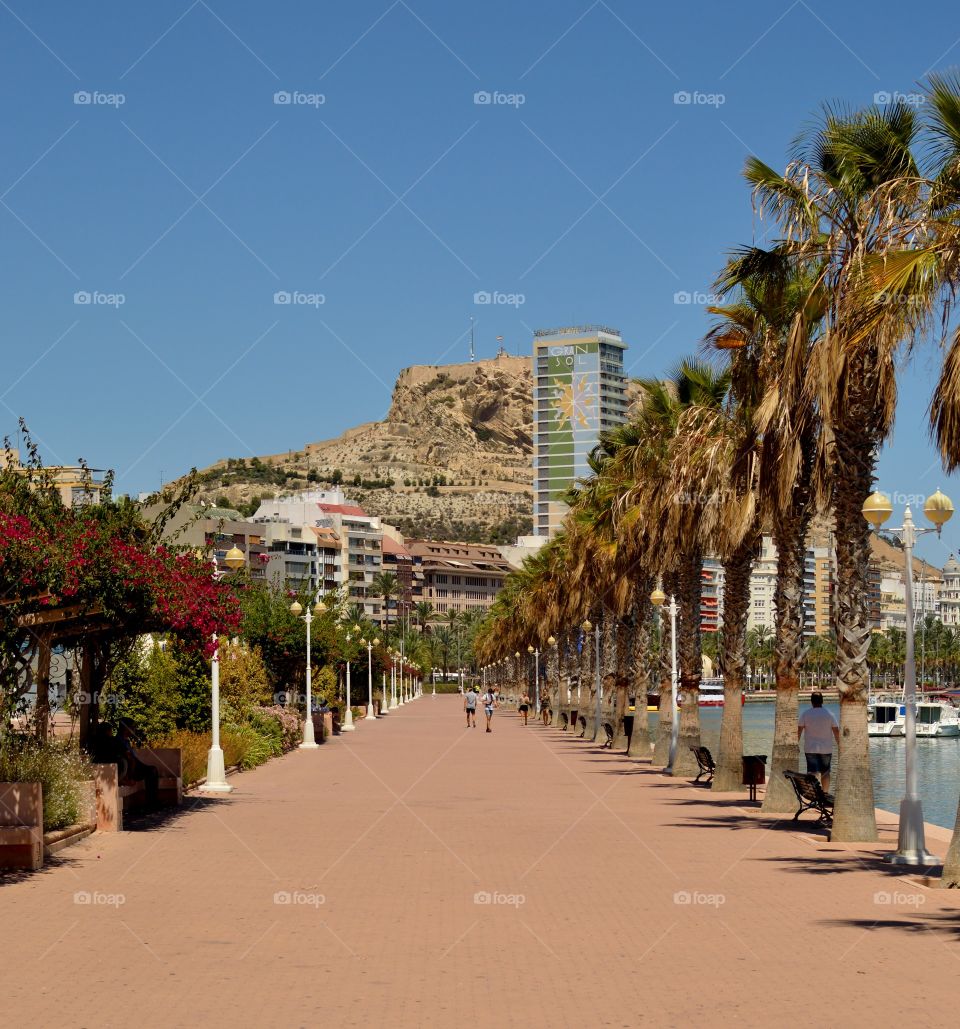 Alicante