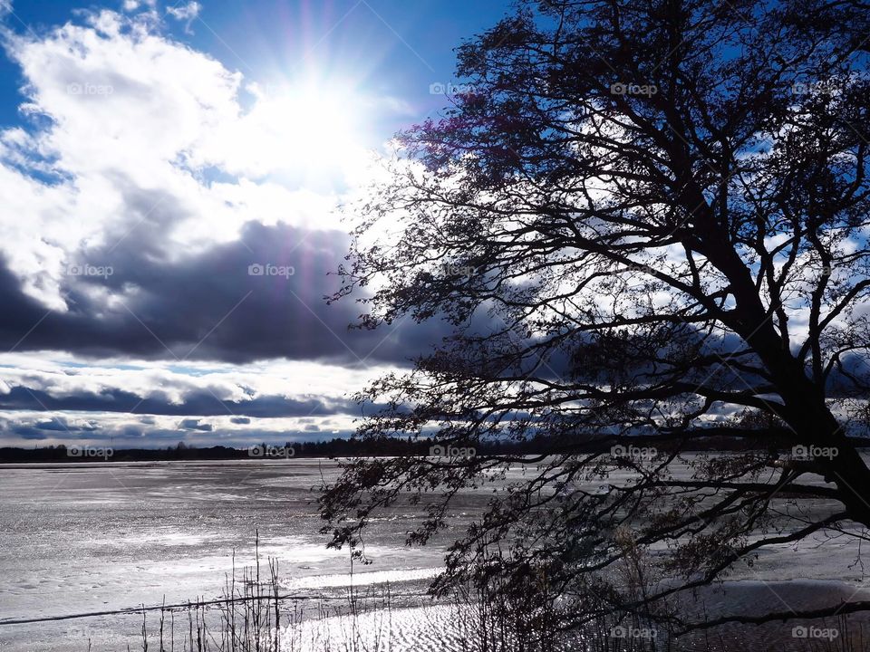 Spring weather in Finland. Sunshine and blue sky. Icy lake is finally begun to melt. Tree and clouds brings nice contrast to this picture.